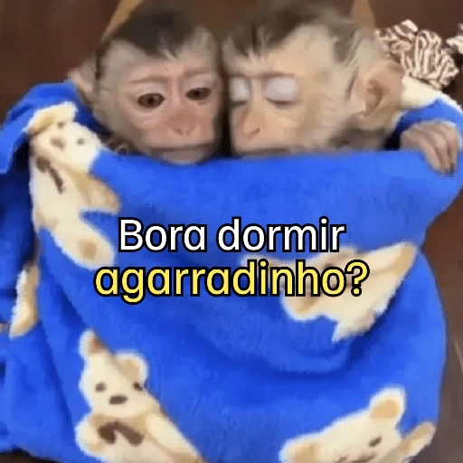 Figurinha de Macaquinhos + frio (10 de 16)