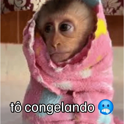 Figurinha de Macaquinhos + frio (11 de 16)