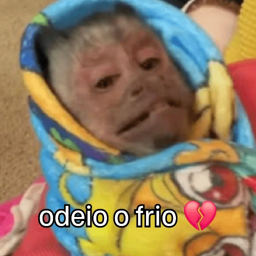 Figurinha de Macaquinhos + frio (14 de 16)
