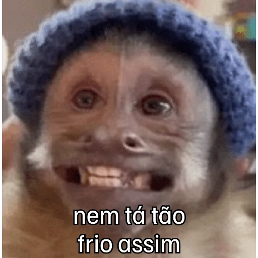 Figurinha de Macaquinhos + frio (15 de 16)