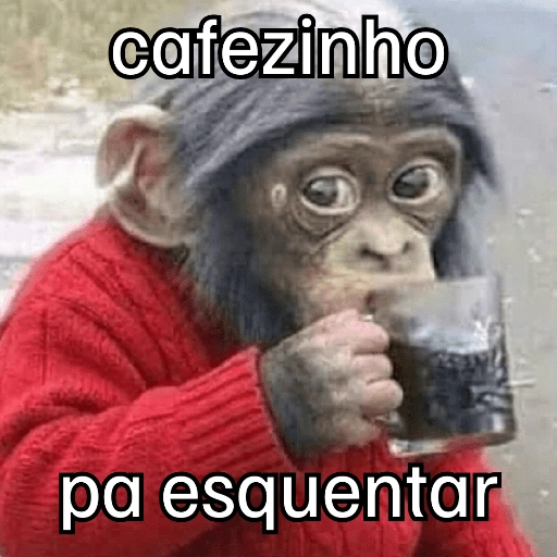 Figurinha de Macaquinhos + frio (16 de 16)