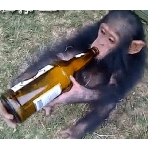 Figurinha de MACAQUINHOS 🐒 (4 de 15)
