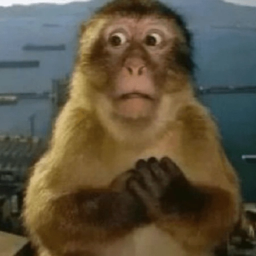 Figurinha de MACAQUINHOS 🐒 (6 de 15)