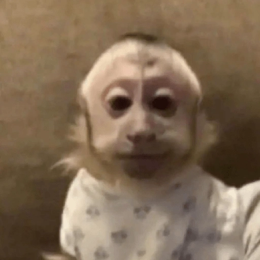 Figurinha de MACAQUINHOS 🐒 (8 de 15)