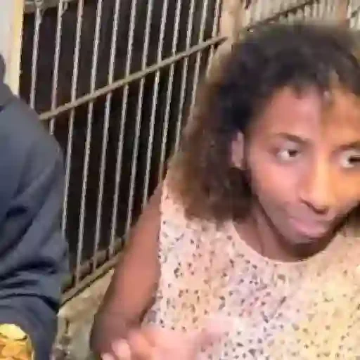 Figurinha de mc katrina (7 de 22)