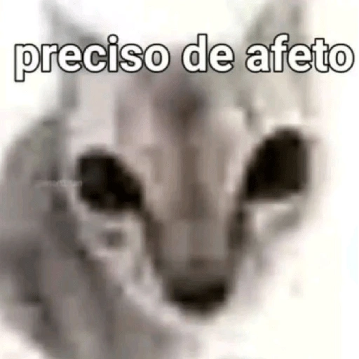 Figurinha de melhores gatinhos 😹 para WhatsApp (6 de 15)