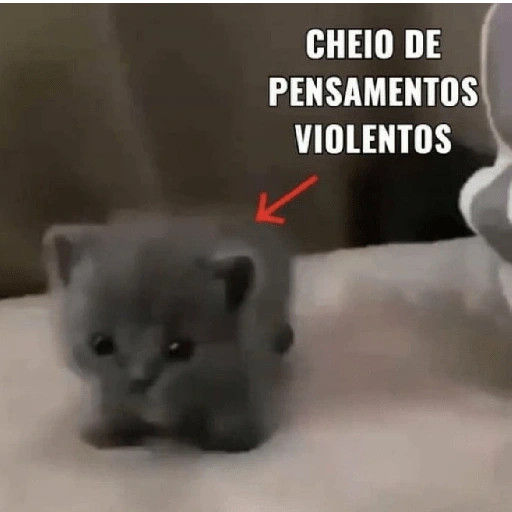 Figurinha de melhores gatinhos 😹 para WhatsApp (15 de 15)