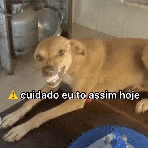 Figurinha de MELHORES RESPOSTAS (10 de 15)