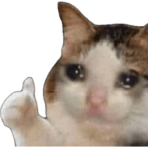 Figurinha de meme gato 🐈✨ para WhatsApp (3 de 18)