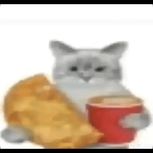 Figurinha de meme gato 🐈✨ para WhatsApp (6 de 18)
