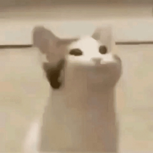 Figurinha de meme gato 🐈✨ para WhatsApp (8 de 18)