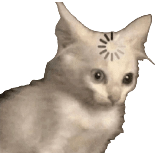 Figurinha de meme gato 🐈✨ para WhatsApp (14 de 18)