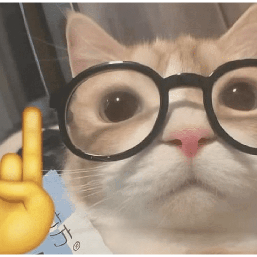 Figurinhas de meme gato 🐈✨ para WhatsApp