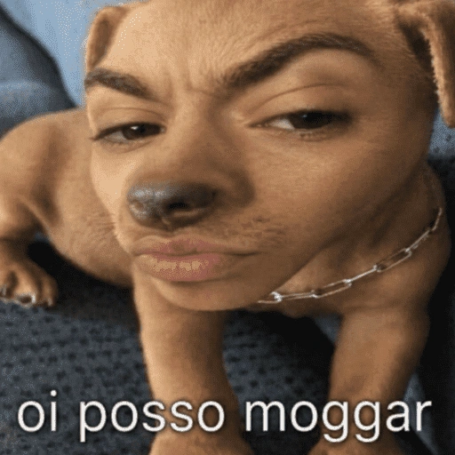 Figurinha de Memes aleatórios para WhatsApp (13 de 16)