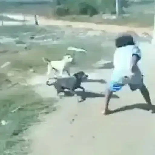 Figurinha de Memes animados ✨️ (5 de 24)
