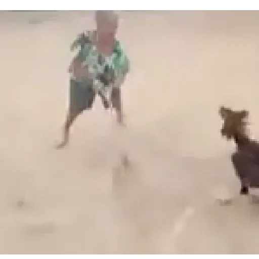 Figurinha de Memes animados ✨️ (8 de 24)