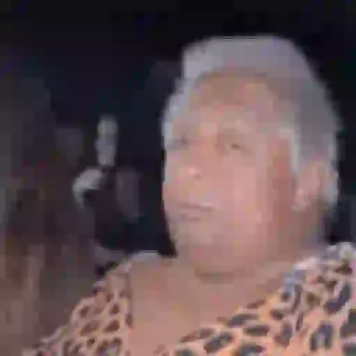 Figurinha de memes da patixa teló para WhatsApp (6 de 15)