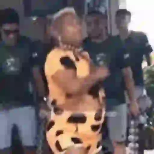 Figurinha de memes da patixa teló para WhatsApp (11 de 15)