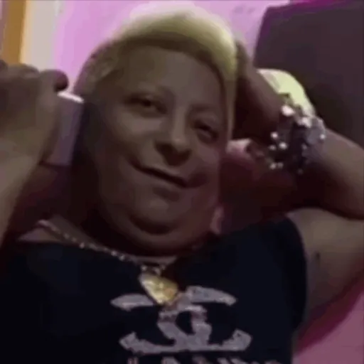 Figurinhas de memes da patixa teló para WhatsApp