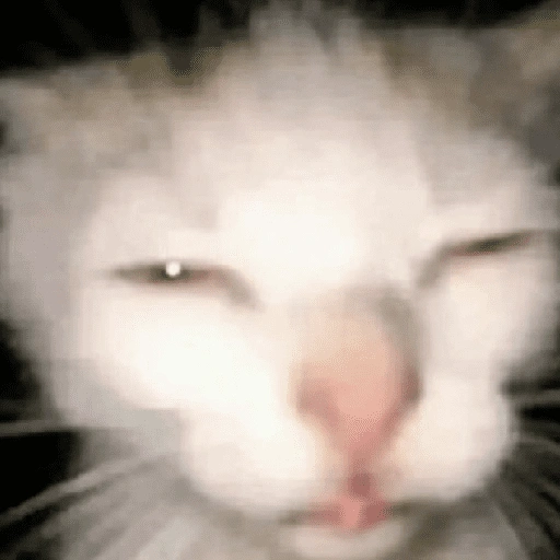 Figurinha de Memes de gatitos para WhatsApp (3 de 21)