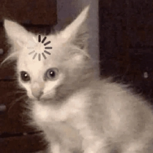 Figurinha de Memes de gatitos para WhatsApp (5 de 21)