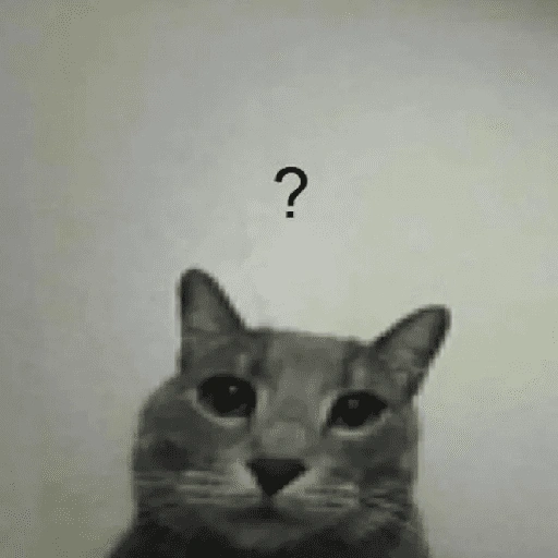 Figurinha de Memes de gatitos para WhatsApp (6 de 21)