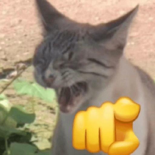 Figurinha de Memes de gatitos para WhatsApp (10 de 21)