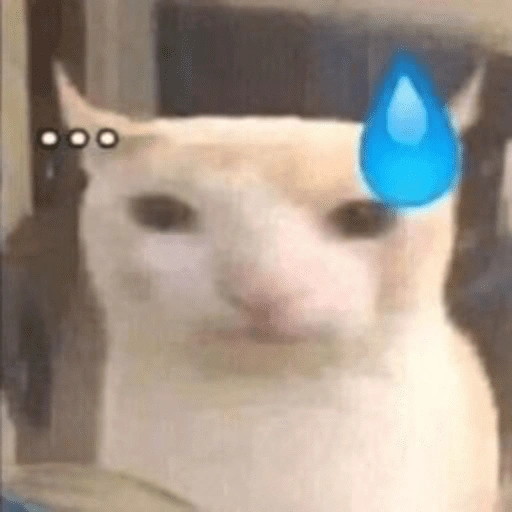Figurinha de Memes de gatitos para WhatsApp (12 de 21)