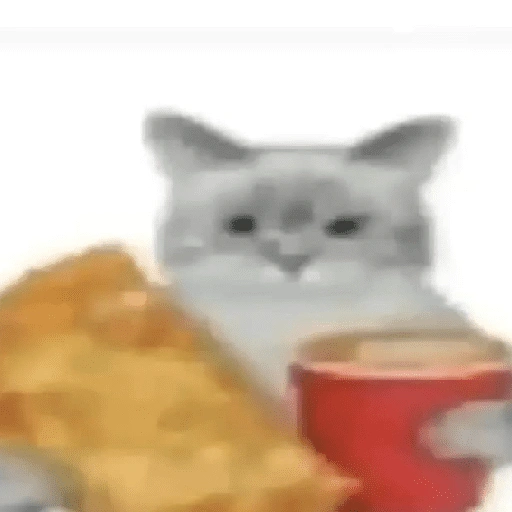 Figurinha de Memes de gatitos para WhatsApp (14 de 21)