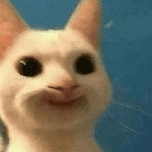 Figurinha de Memes de gatitos para WhatsApp (18 de 21)