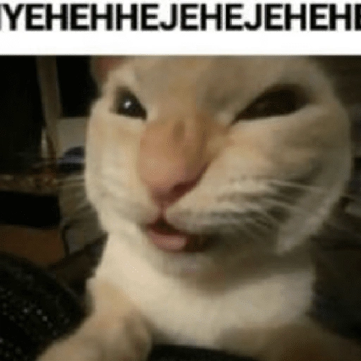 Figurinha de Memes de gatitos para WhatsApp (20 de 21)