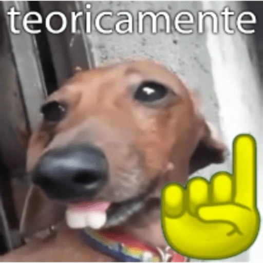 Figurinha de Memes diversos para WhatsApp (10 de 15)