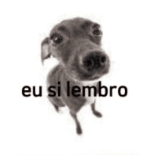 Figurinha de Memes diversos para WhatsApp (11 de 15)