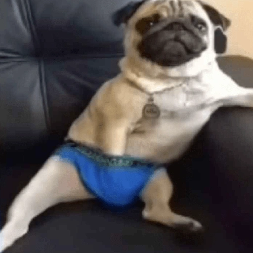 Figurinha de MEMES DO DIA para WhatsApp (12 de 15)