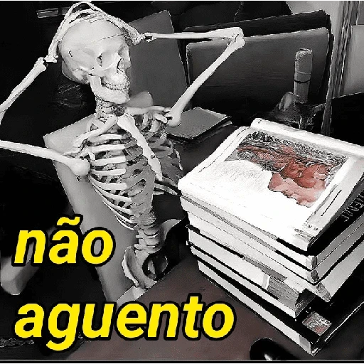 Figurinha de Memes do esqueleto (7 de 15)