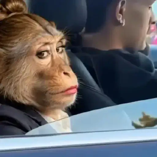 Figurinha de Memes e xitpost animados para WhatsApp (8 de 28)