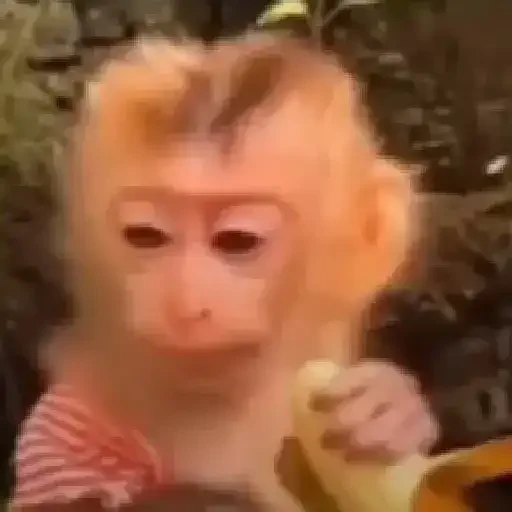 Figurinha de Memes e xitpost animados para WhatsApp (26 de 28)