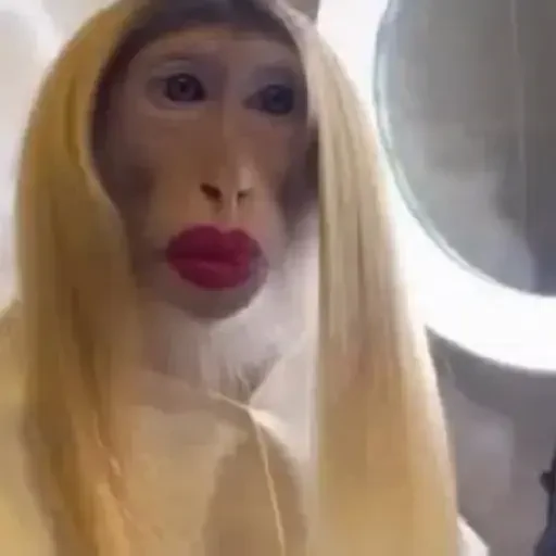 Figurinha de Memes e xitpost animados para WhatsApp (27 de 28)