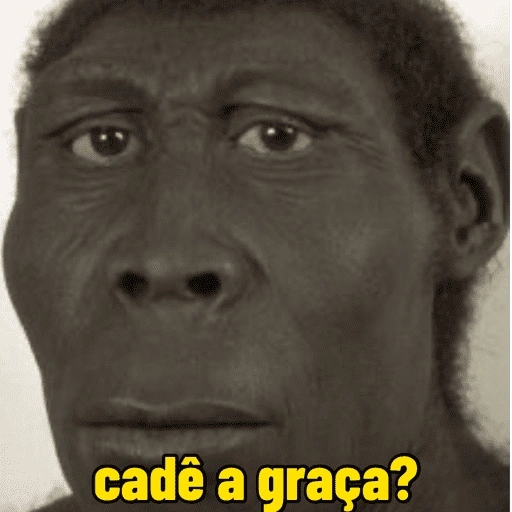 Figurinha de Memes floptok para WhatsApp (7 de 15)