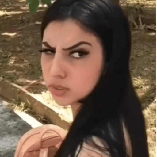 Figurinha de Memes floptok para WhatsApp (11 de 15)
