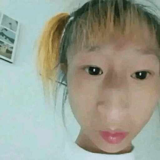 Figurinha de Memes floptok para WhatsApp (15 de 15)