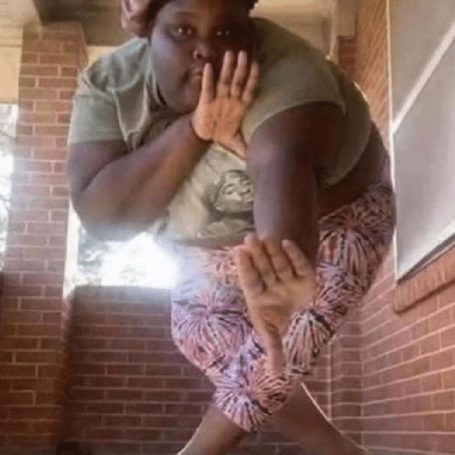 Figurinha de memes floptok para WhatsApp (10 de 29)