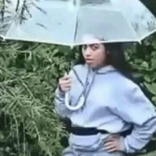 Figurinha de memes floptok para WhatsApp (25 de 29)