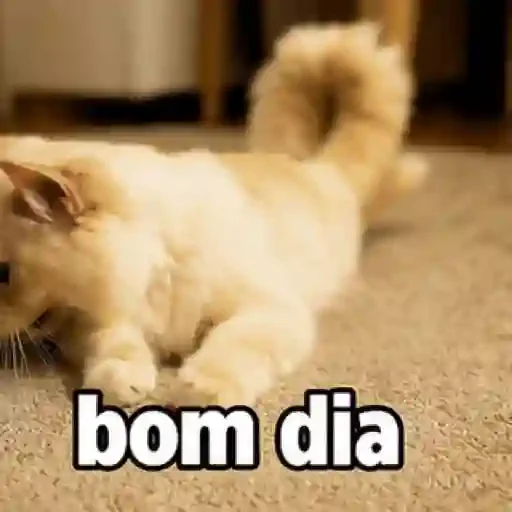 Figurinha de memes pra semana cat gif🐱 (3 de 9)