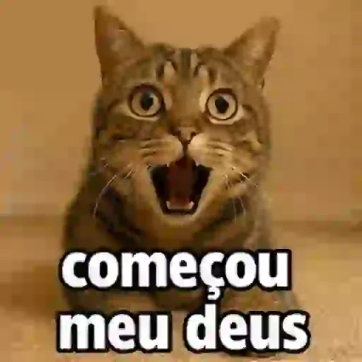 Figurinha de memes pra semana cat gif🐱 (6 de 9)