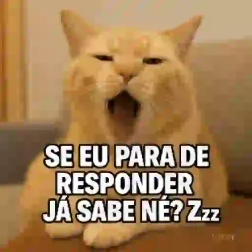 Figurinha de memes pra semana cat gif🐱 (7 de 9)