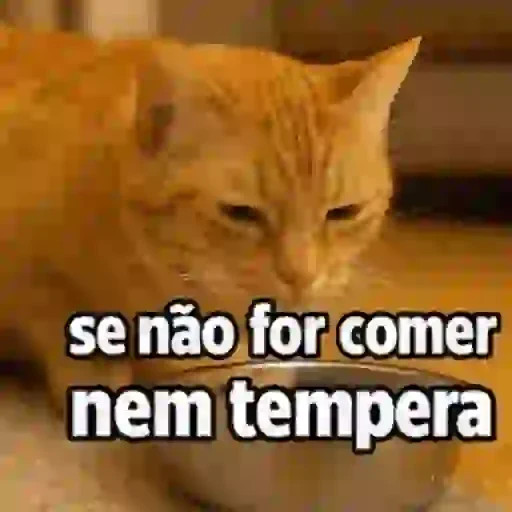 Figurinha de memes pra semana cat gif🐱 (8 de 9)