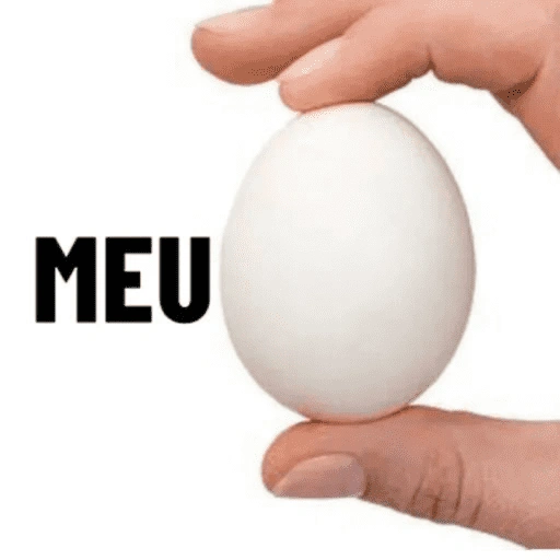 Figurinha de MEMES PRA VOCÊ USAR para WhatsApp (4 de 15)