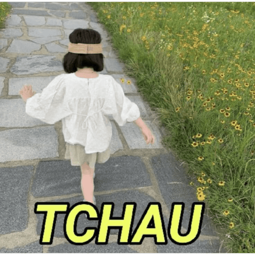 Figurinhas de MEMES PRA VOCÊ USAR para WhatsApp