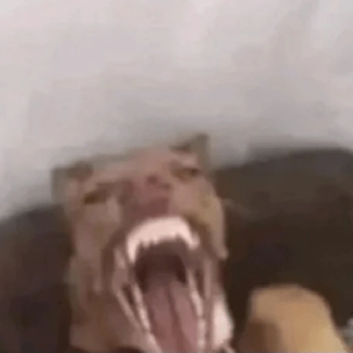 Figurinha de Memes & Reações para WhatsApp (9 de 20)